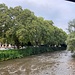 Die [https://www.hikr.org/gallery/photo3956141.html?post_id=188720#1 Elz], eine Bekannte vom Westweg her.<br /><br />