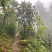 Die Wege werden interessanter.<br /><br />