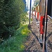 Hädeler Zahnradbähnli