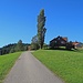 Bischofsberg, rechts ist noch ein Masten vom Skilift Heiden zu sehen