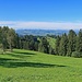 die Aussicht von der Hohen Buche in Richtung Bühler / Teufen