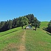 .......ein Rückblick an derselben Stelle