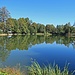 und hier bin ich bereits auf den Drei Weieren oberhalb St. Gallen, das ist der mittlere "Buebenweiher"