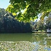 "Buebenweiher" mit Seerosen