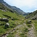 Dans la combe des Morts