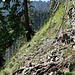 So sieht der Jägerpfad/-steig im weiteren Verlauf in Richtung Schönwald an einigen Stellen aus