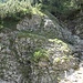 Die kleine Rampe am Kreuzkargraben, die von rechts unten nach links oben überschritten wird
