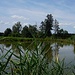 an einem kleinen Weiher vorbei