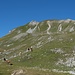 Auf der Sonnenseite des Schiesshorns.