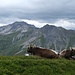 Auf dem Weg zum Mattjisch Horn. 