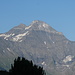 Hausstock im Zoom