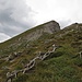 Im Gras weiter bis zum Schutt am Einschnitt.