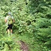 Rückweg zur Aschinger Alm