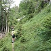 Rückweg zur Aschinger Alm