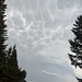 Wolkenformation "Mammatus" kurz vor dem Gewitter, wir sind zum Glück wieder an der Unterkunft.