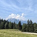 Aufstieg zur Zwieselalm mit Blick zum Tennengebirge.