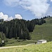 Nun laufen wir noch zum Hornspitz.