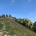 Über den breiten Rücken auf den Gipfel.
