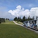 Der Ameisenexpress fährt dort hin.