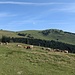Heute unterwegs zum Wieslerhorn auf der Postalm.