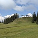 Wir sind durch die Waldflanke unterhalb der Bergstation runter, der Untergrund in der Senke ist eher sumpfig.