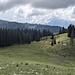 Wieder eine Pistenflanke hinab, auch unten wieder Sumpf... teilweise noch mit Brettern, da hier eigentlich der Salzalpenweg entlang führt.
