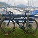 Ankunft um 13.45 Uhr in Küssnacht am Rigi