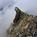 Wieder zurück am Ausstieg der Kletterroute.