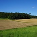über Felder nach Leutstetten