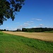 über Felder nach Leutstetten
