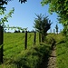 und wider hinauf