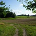raus aus dem Wald