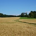 über Felder nach Leutstetten
