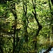 entlang der Würm