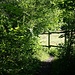 hinab nach Leutstetten