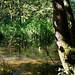 entlang der Würm