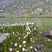 ...zum Lago Lausetto.