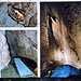 Die Höhle sieht auf Fotos toll aus.