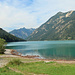 im Seewinkl vom Plansee.