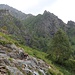 Steinbock auf dem Wanderweg zum Rifugio Coca