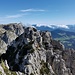 Zum Knittelhorn wird die Gratwanderung etwas latschig und brüchig.