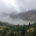 erst Nebel, dann Gewitter.....