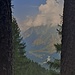 scorci