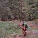 ripidissimi nel bosco