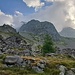 la desolata alpe Averta