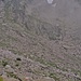 la lunga ganda di avvicinamento