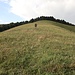 Aufstieg auf dem Südgrat - von dem in der OSM eingezeichneten Weg sieht man nichts.
