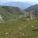 Die Abkürzung zum Wanderweg - nicht sonderlich offensichtlich...