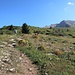 Wanderweg zur Capanna 2000