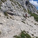 Plattenquerung